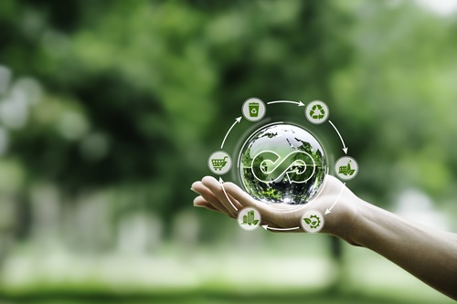 Sustainability Plant Environment MED Istock Credit Khanchit Khirisutchalual