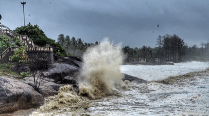 Istock 1318778301 Credit RK BHAT PAJAKA MANGALURU KARNATAKA INDIA 430 Wide