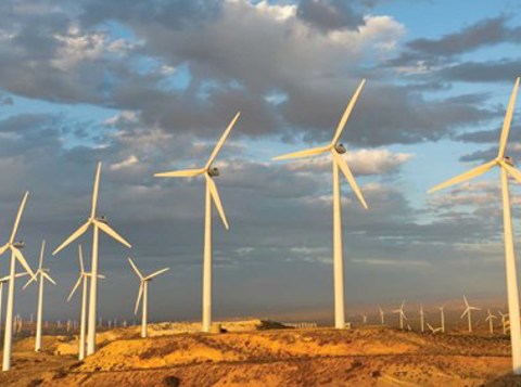 Wind turbines in a field