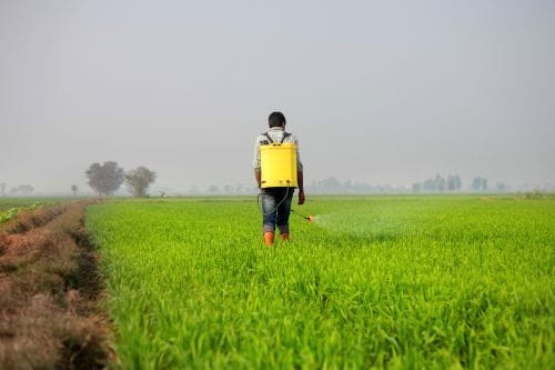 Istock 1386284032 Credit Pixelfusion3d 500 Min